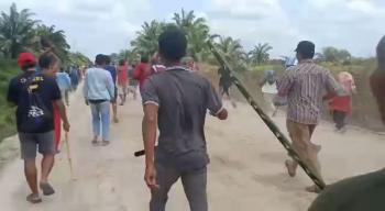 Eksekusi Lahan di Pelalawan Berujung Bentrok